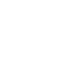 Group 1001