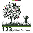 123plantes logo