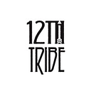 Favicon of 12th Tribe