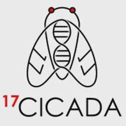 17Cicada Limited logo