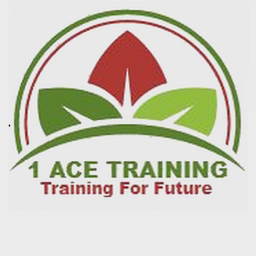 1 ACE TRAINING LIMITED logo
