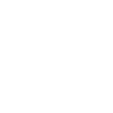 207 Landscaping Tree Service logo