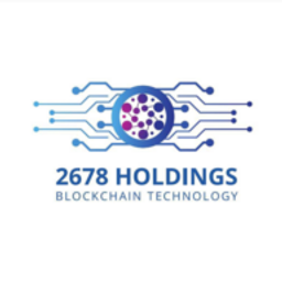 2678 Holdings LLC logo