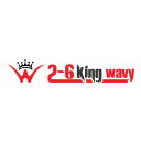 Safe and Effective brand logo
