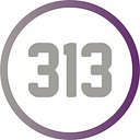 313 Financial logo
