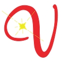 Vehicle Accessories, Inc. logo