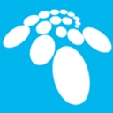Favicon of 539 IT Consulting