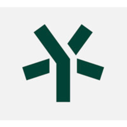 5ycap.com logo