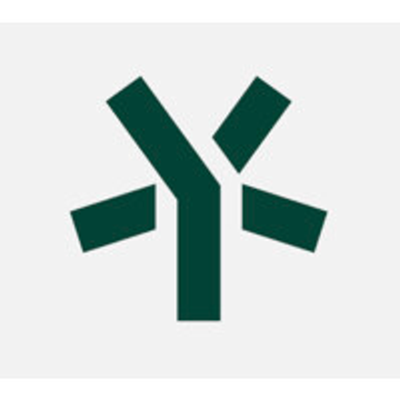 5Y Capital logo