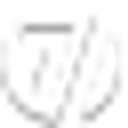 Med Flight Air Ambulance Inc logo