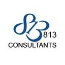 Favicon of 813 Consultants