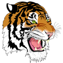 ADAIR CO. HIGH logo