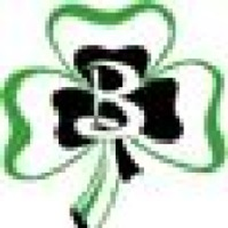 Berrien Springs High School logo