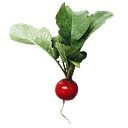 a-modo-mio.com icon