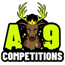 A9 Competitions logo