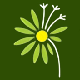 AA