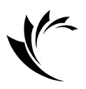 Aadvantage Insurance Group logo