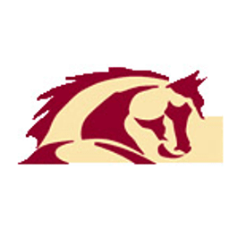 AAEC Online logo