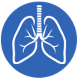 AA