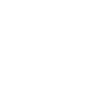 Abacus Umantis GmbH logo