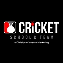 Abante Marketing / Cricket School & Team logo