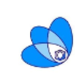 Allied Business Consulting, INC. logo