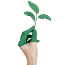 Accountancy & Business Improvement logo