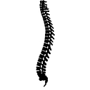 About You Chiropractic logo