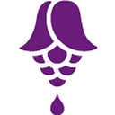 Absolute Essential Ltd logo