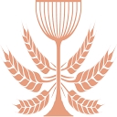 Favicon of Absolut Elyx