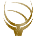 Abundant Professional Services logo