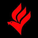 Academia Gaviões 24 horas logo