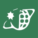 Academica logo