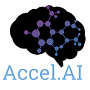 Accel Ai Institute logo