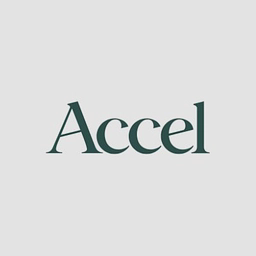 ACCEL SOFTWARE SERVICES LIMITED logo