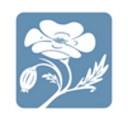 American College of Clinical logo
