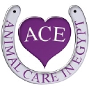 Animal Care In Egypt logo