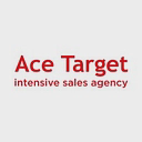 ACE TARGET logo