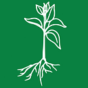 Ace Awareness Foundation logo