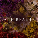 acebeaute.com logo