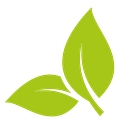 Acen Solar logo