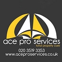 Ace Pro Services logo