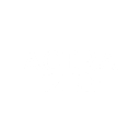 ACERA LIVEN logo