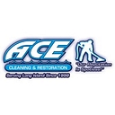 ACE Cleaning-Restoration Services, Inc.