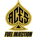 acesefi.com logo