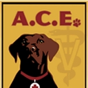 A.C.E. Veterinary Hospital