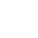 Acg Automotive logo
