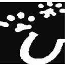 Animal Care Hospital of Morris logo