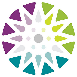 Iridium Holdings, Inc. logo