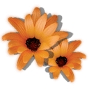 A Clinical Massage Therapy logo